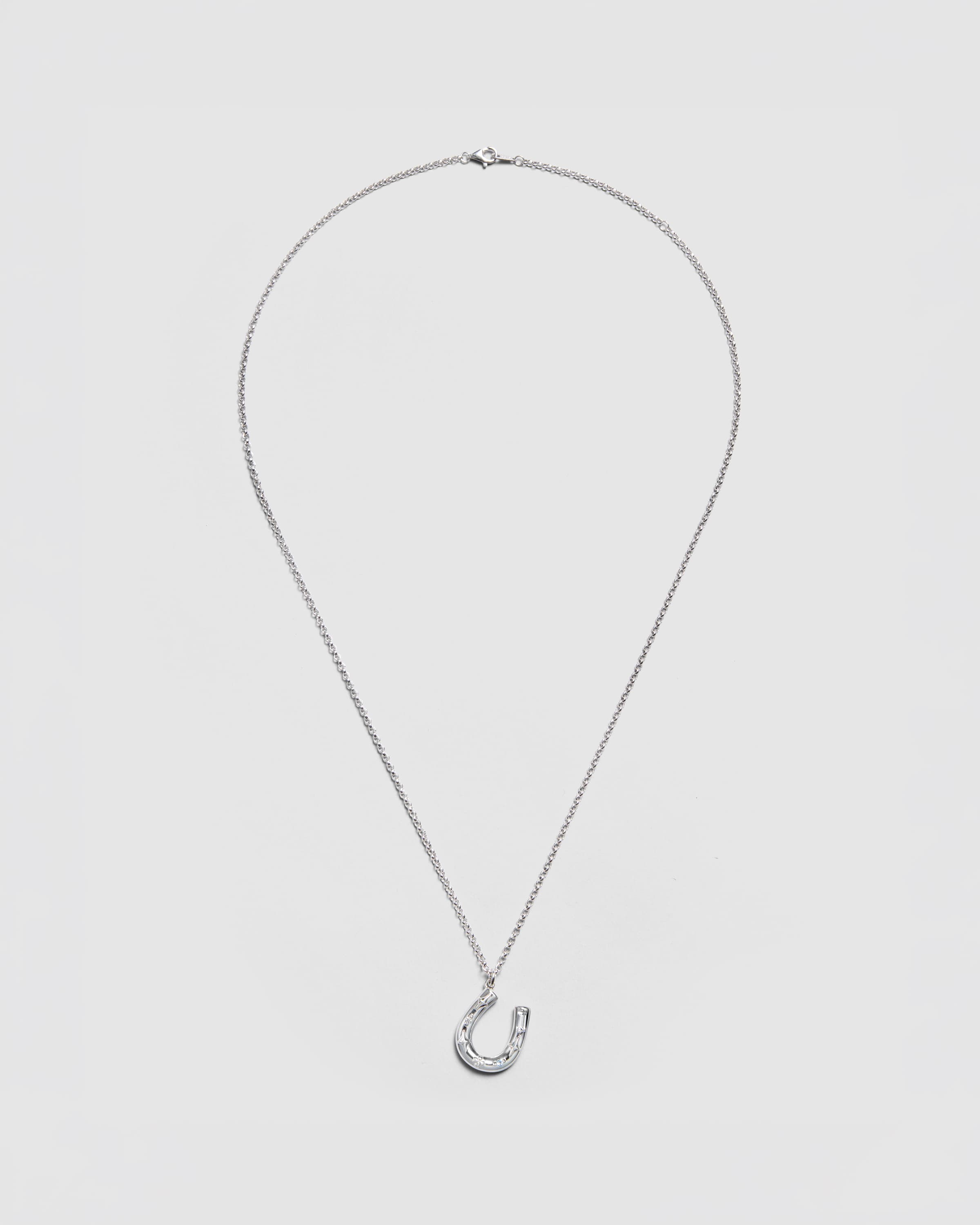 Horseshoe Necklace - 2