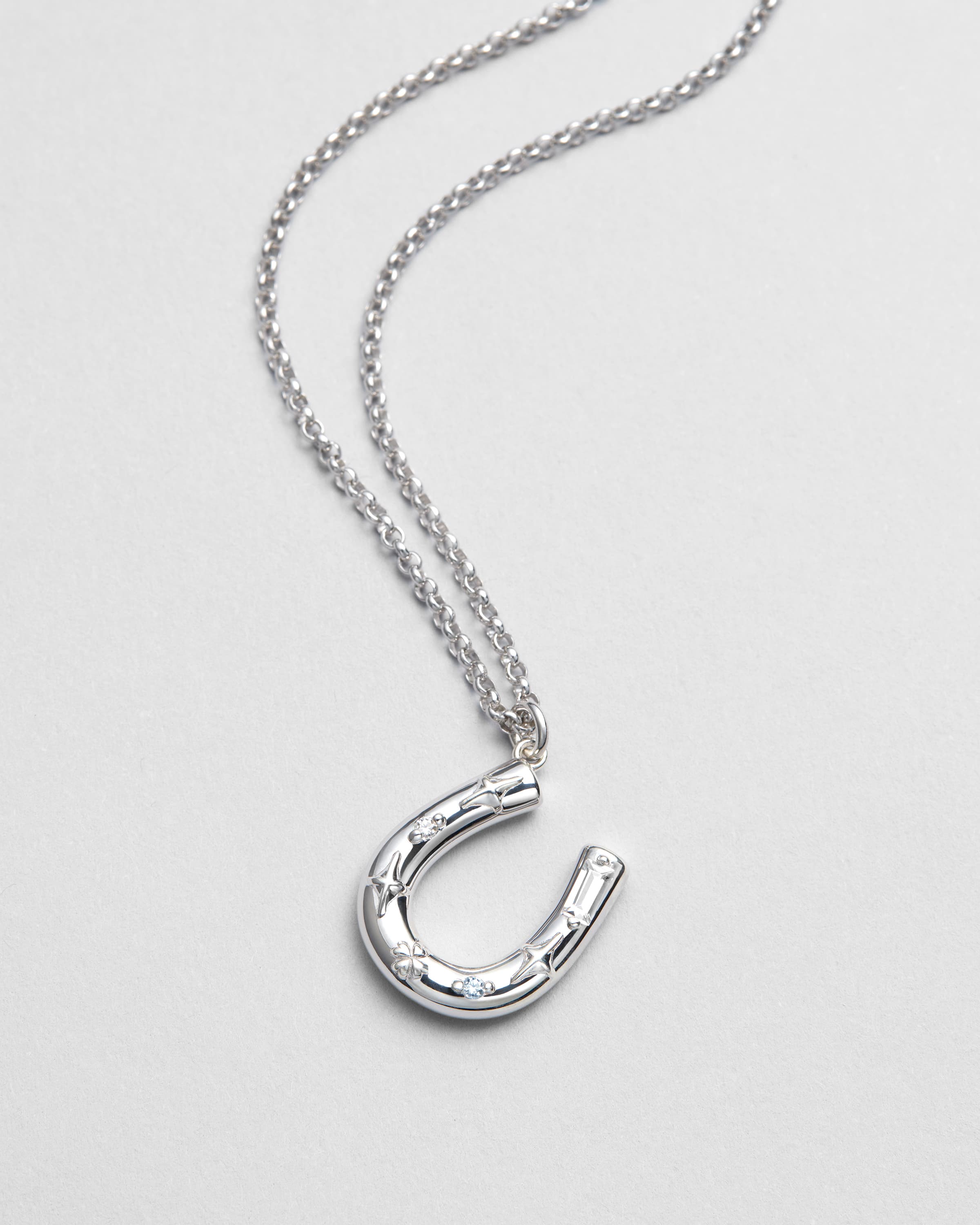 Horseshoe Necklace - 3