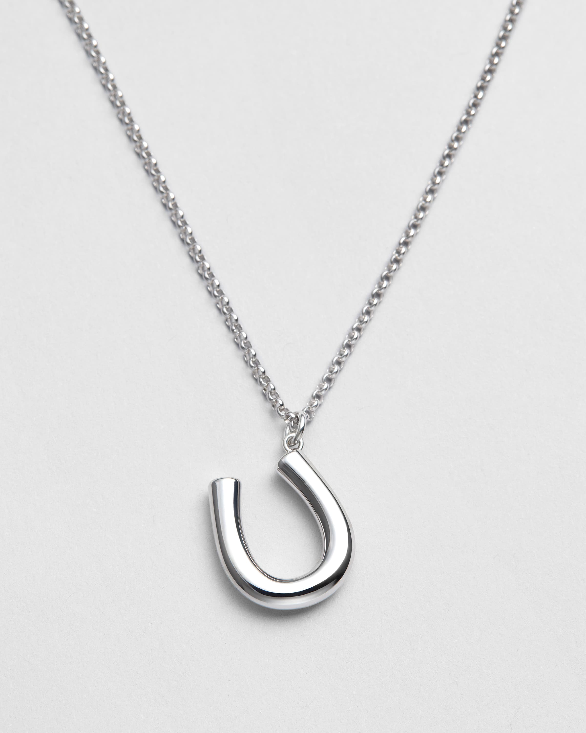 Horseshoe Necklace - 4